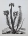 94